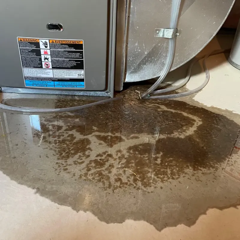 Appliance Leak Cleanup in Durham, OR